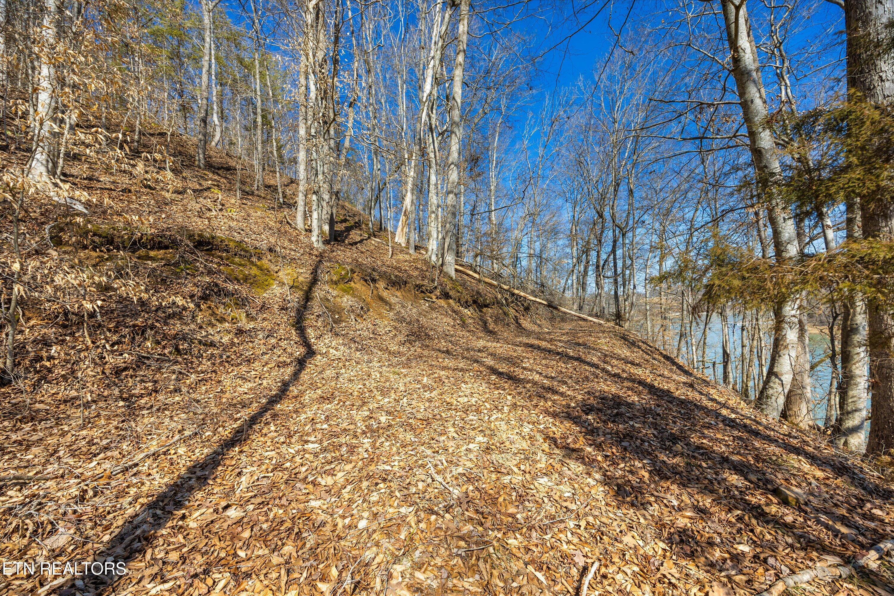 Lot 34 Mountain Shores Drive, New Tazewell, TN - Norris Lake Real Estate - Image# 27