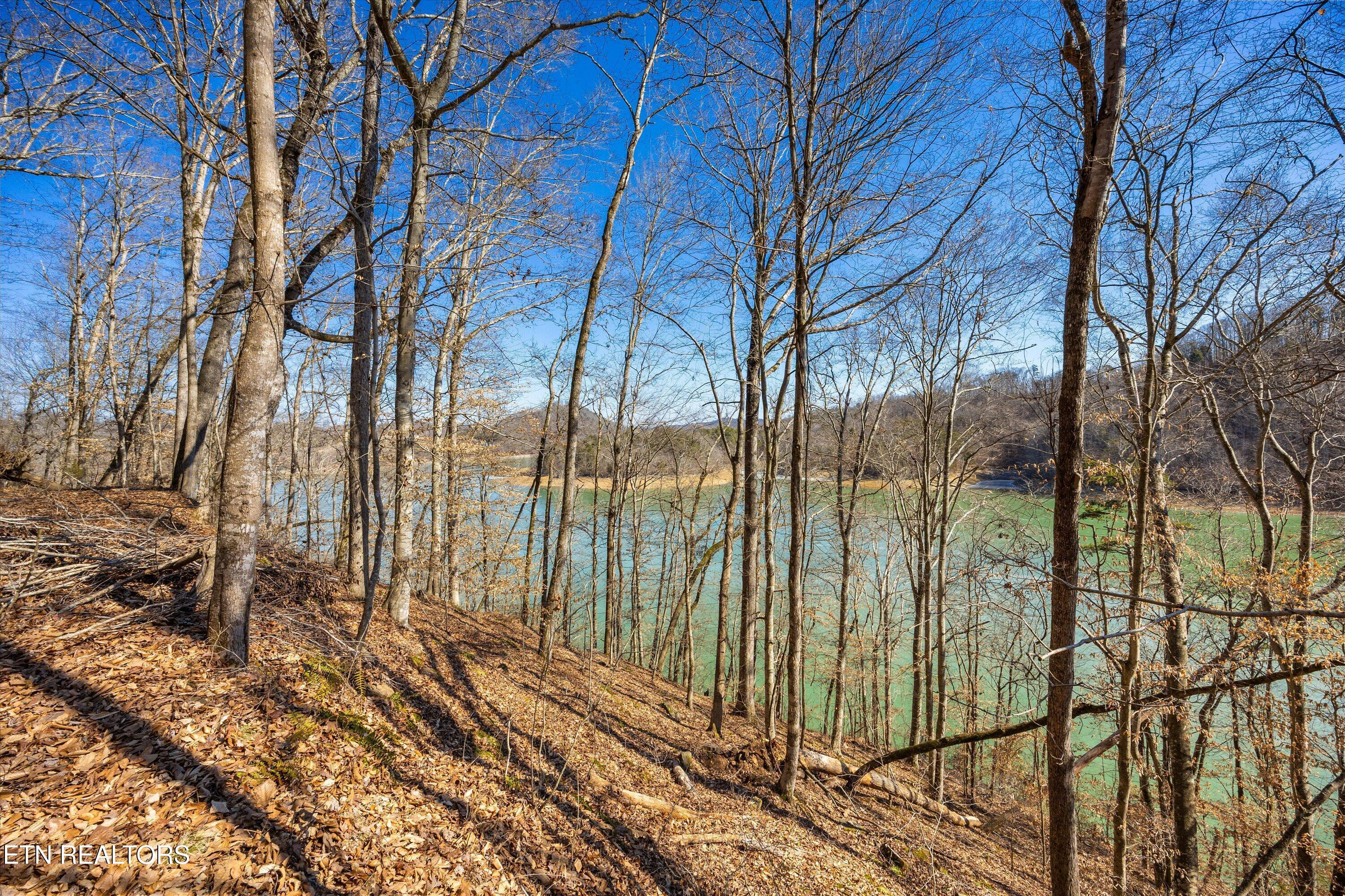 Lot 34 Mountain Shores Drive, New Tazewell, TN - Norris Lake Real Estate - Image# 28