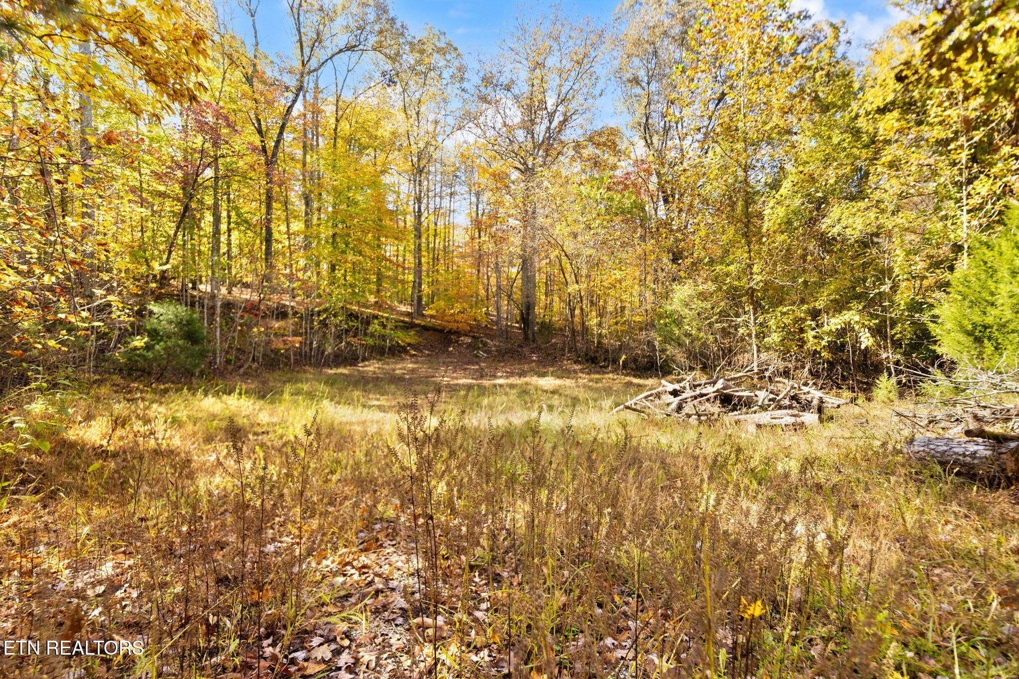 131 Northshore Drive, Andersonville, TN - Norris Lake Real Estate - Image# 34