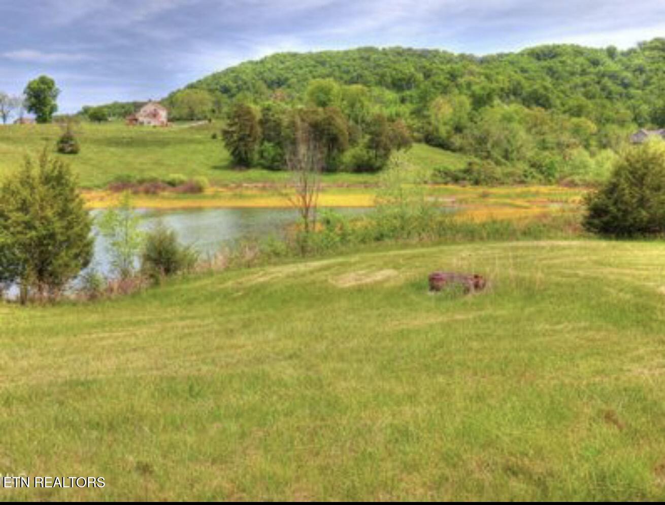 Lot 230 Ruth Circle, Sharps Chapel, TN - Norris Lake Real Estate - Image# 24