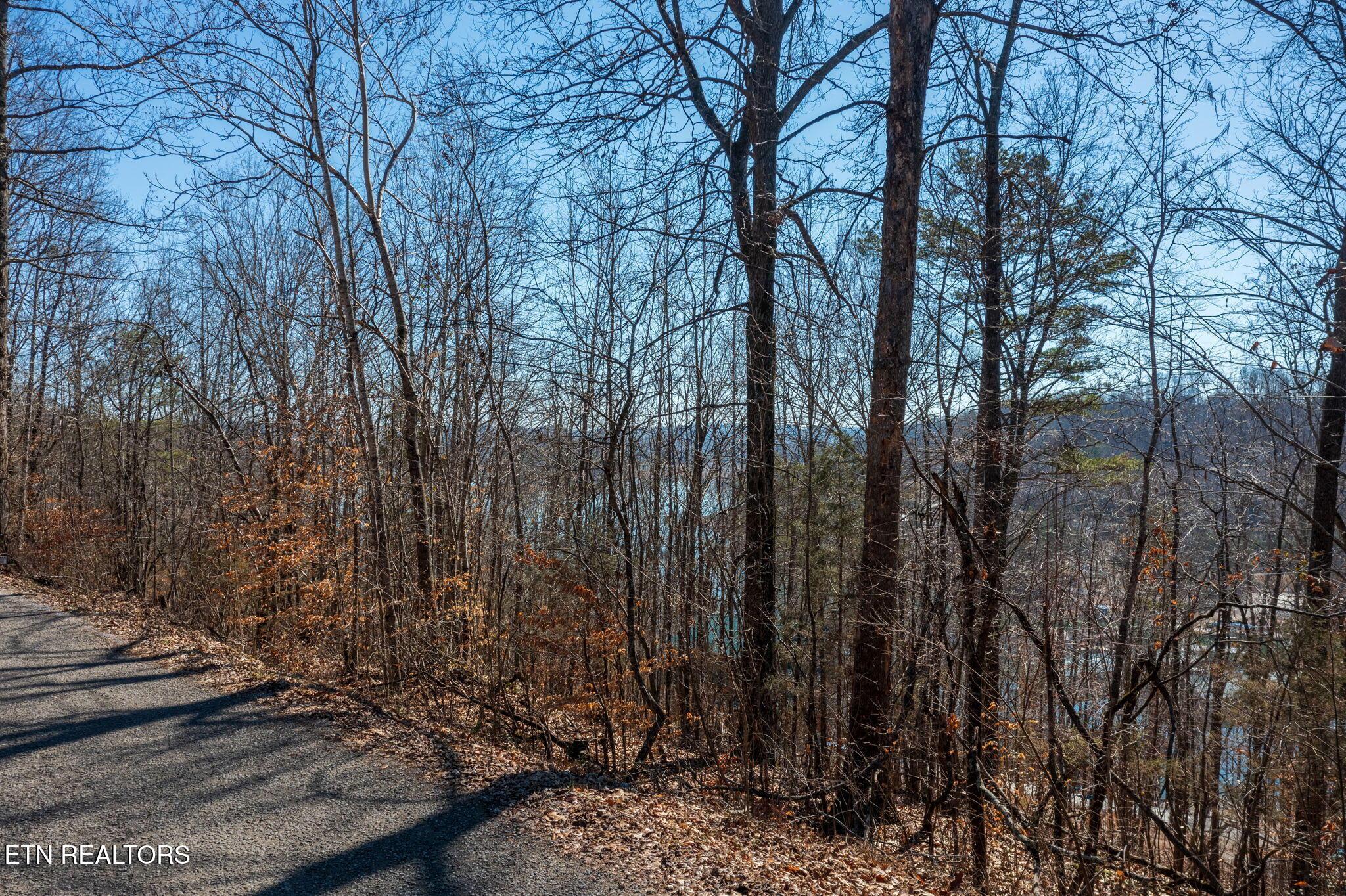 E Dogwood Tr, Lafollette, TN - Norris Lake Real Estate - Image# 5