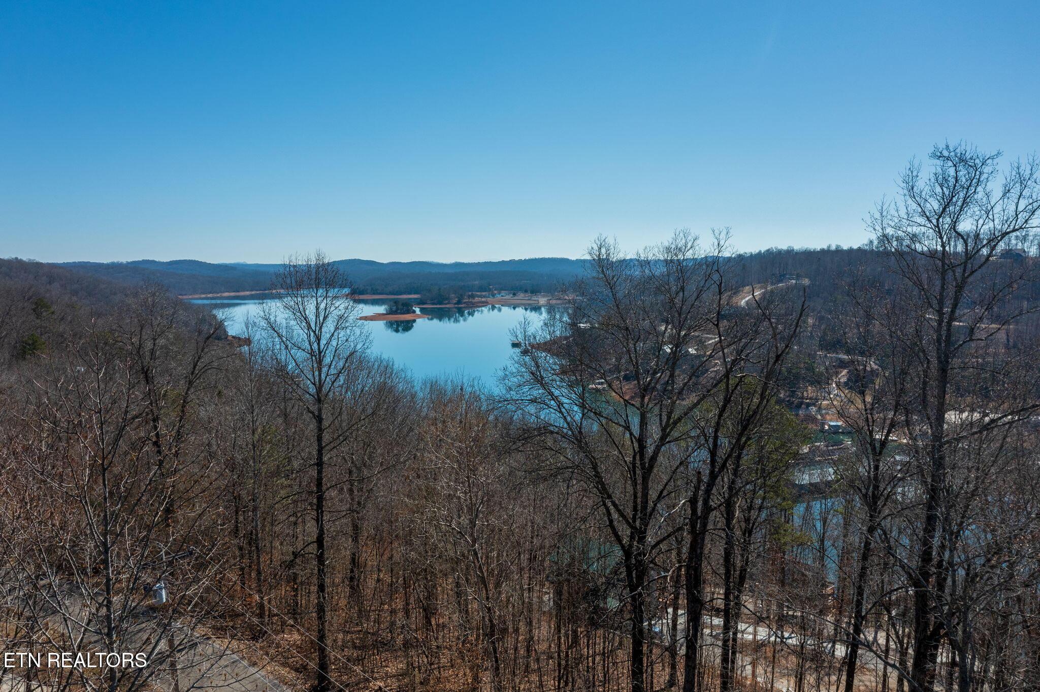 E Dogwood Tr, Lafollette, TN - Norris Lake Real Estate - Image# 6