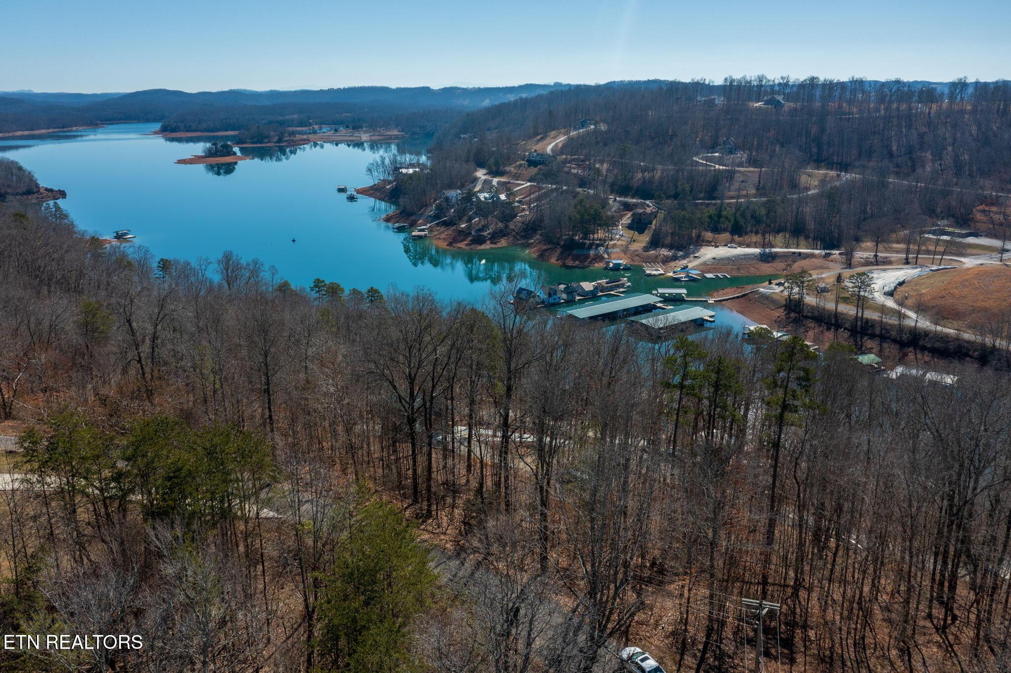 E Dogwood Tr, Lafollette, TN - Norris Lake Real Estate - Image# 7
