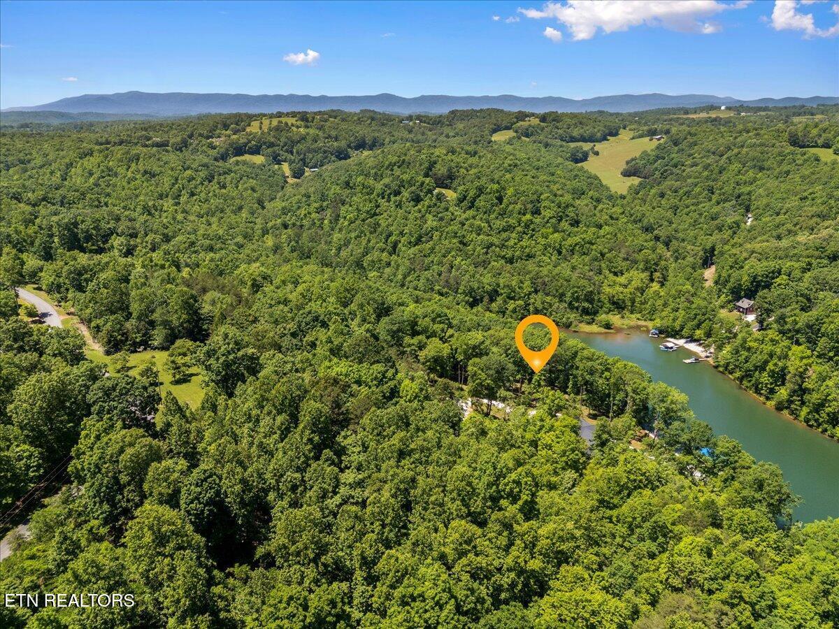 Shanghai Landing Lane, Lafollette, TN - Norris Lake Real Estate - Image# 5