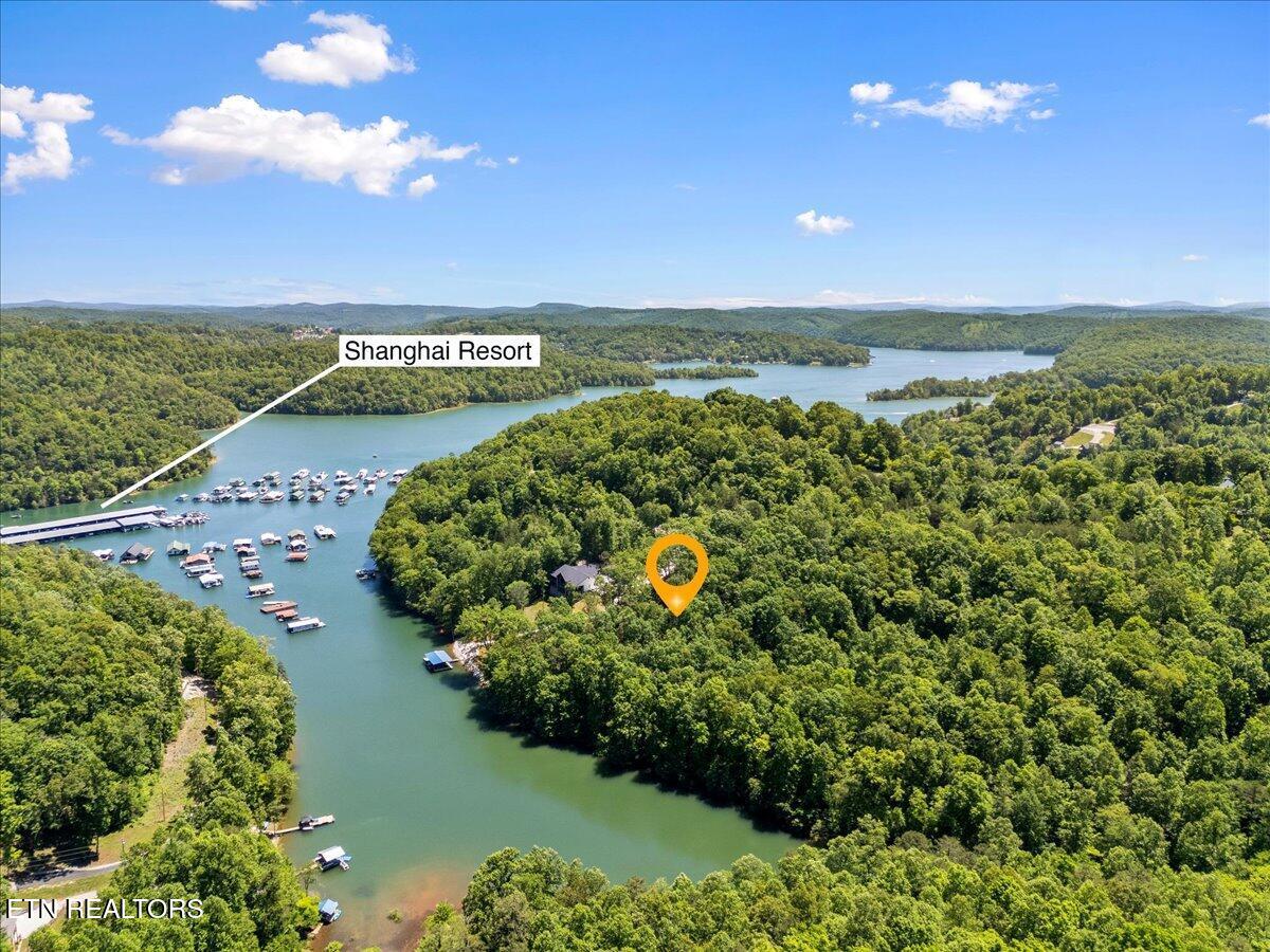 Shanghai Landing Lane, Lafollette, TN - Norris Lake Real Estate - Image# 9