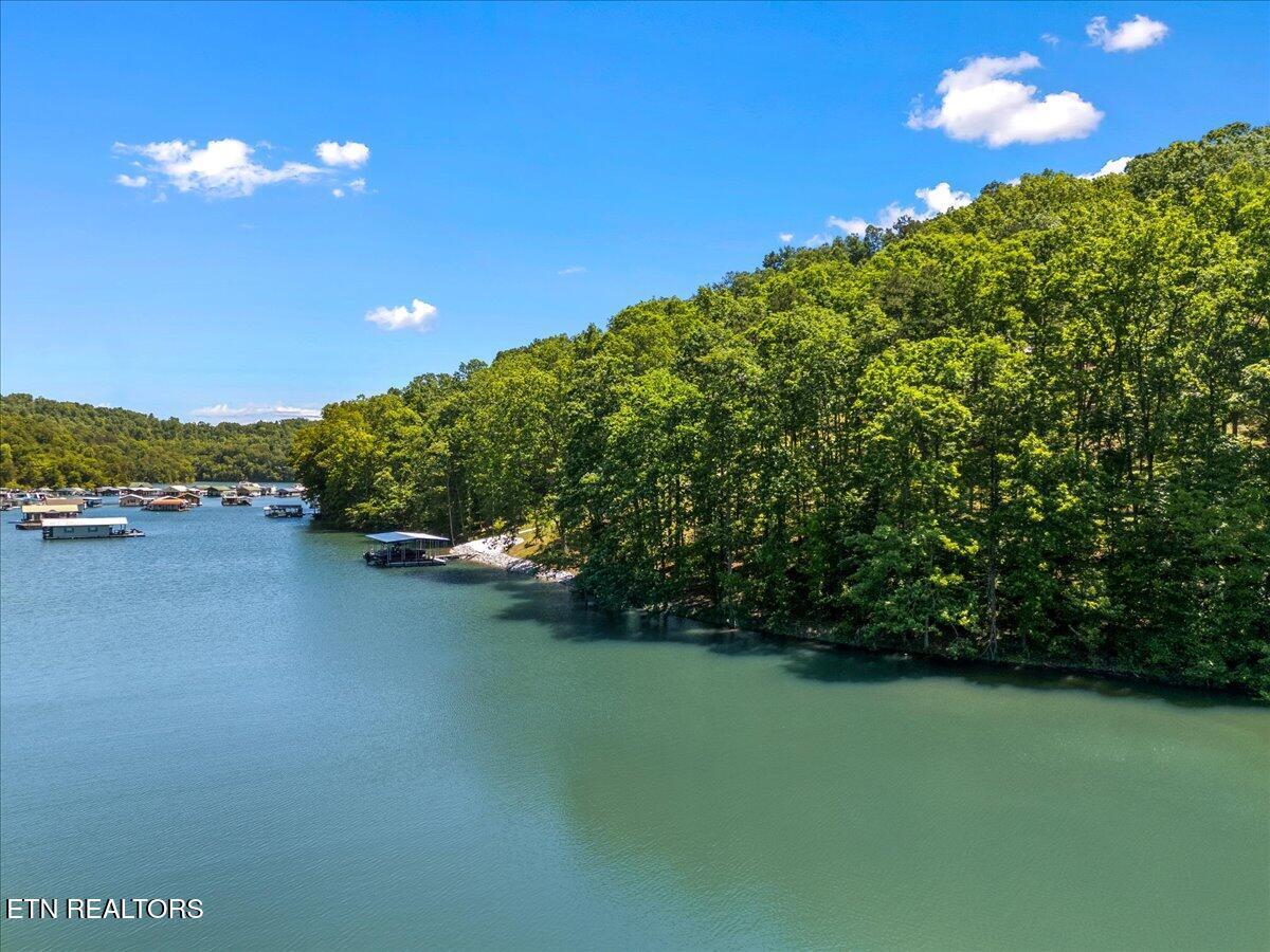 Shanghai Landing Lane, Lafollette, TN - Norris Lake Real Estate - Image# 1