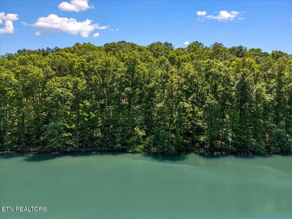 Shanghai Landing Lane, Lafollette, TN - Norris Lake Real Estate - Image# 10