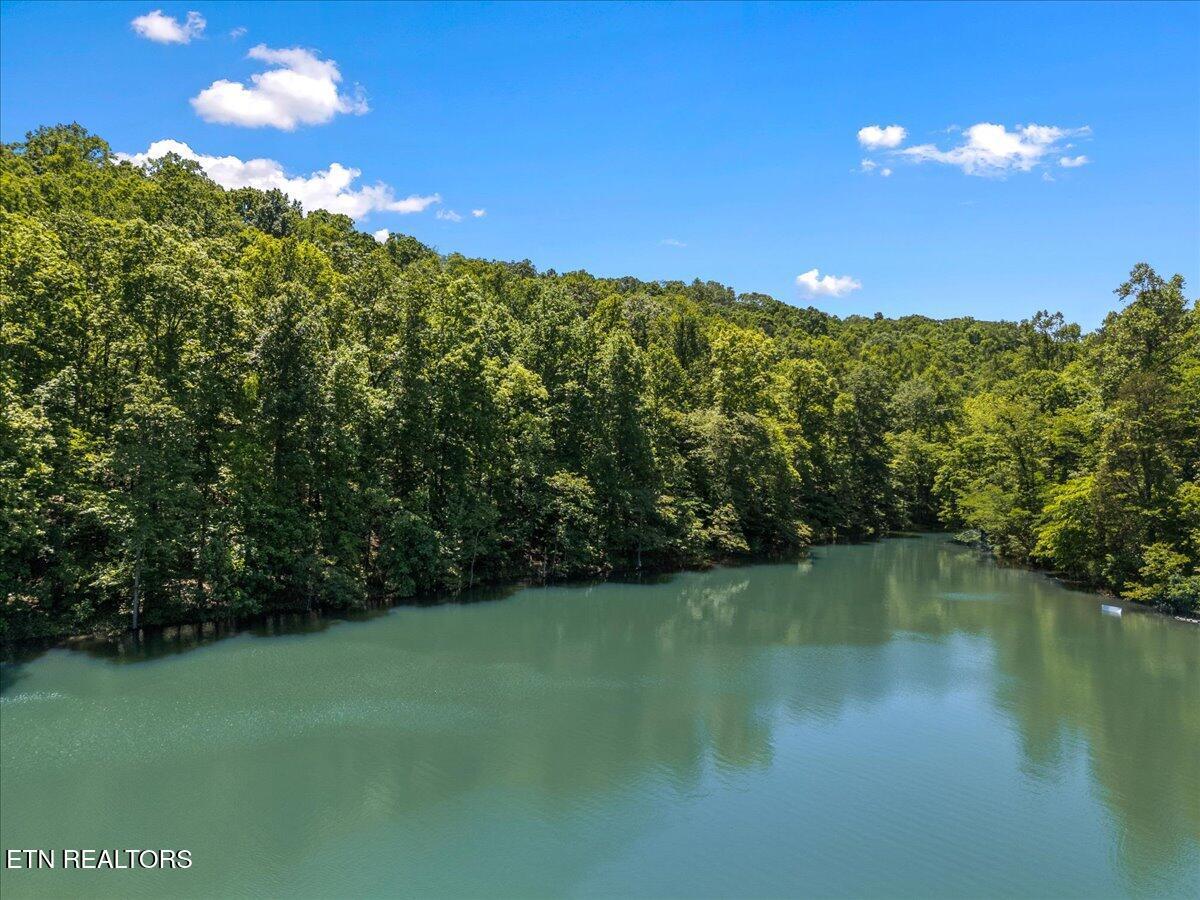 Shanghai Landing Lane, Lafollette, TN - Norris Lake Real Estate - Image# 11