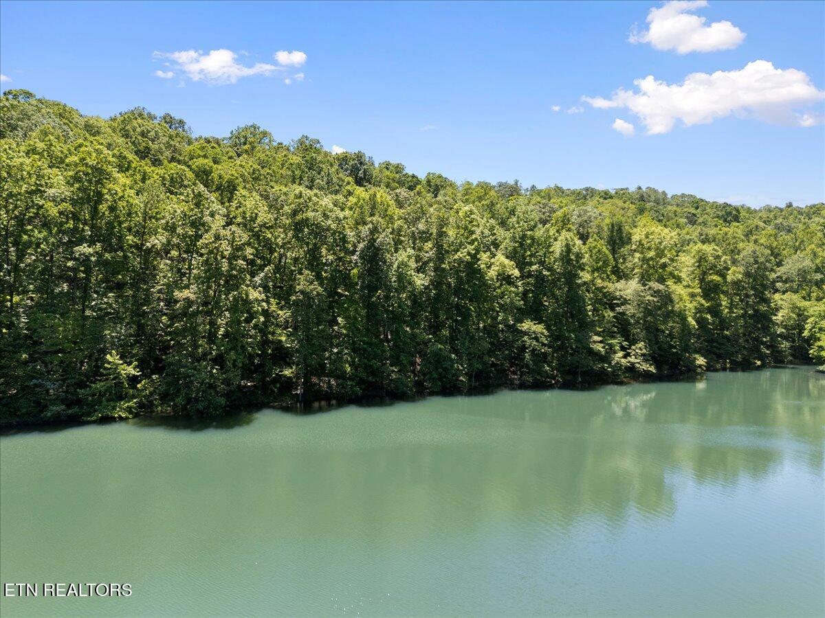 Shanghai Landing Lane, Lafollette, TN - Norris Lake Real Estate - Image# 12