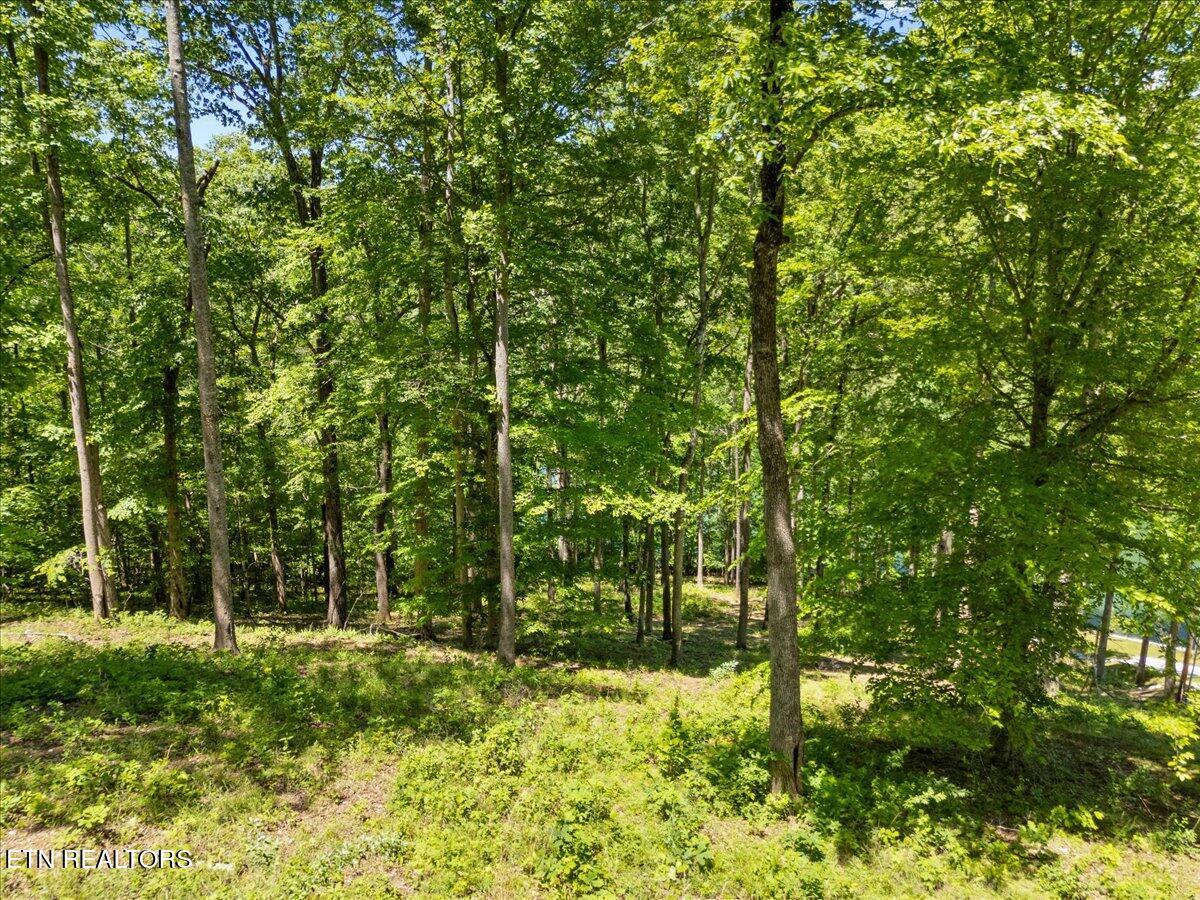 Shanghai Landing Lane, Lafollette, TN - Norris Lake Real Estate - Image# 13