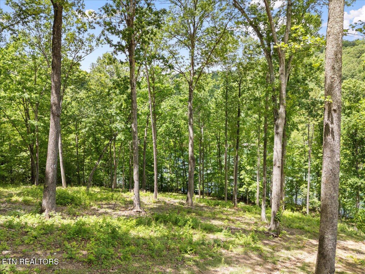 Shanghai Landing Lane, Lafollette, TN - Norris Lake Real Estate - Image# 17