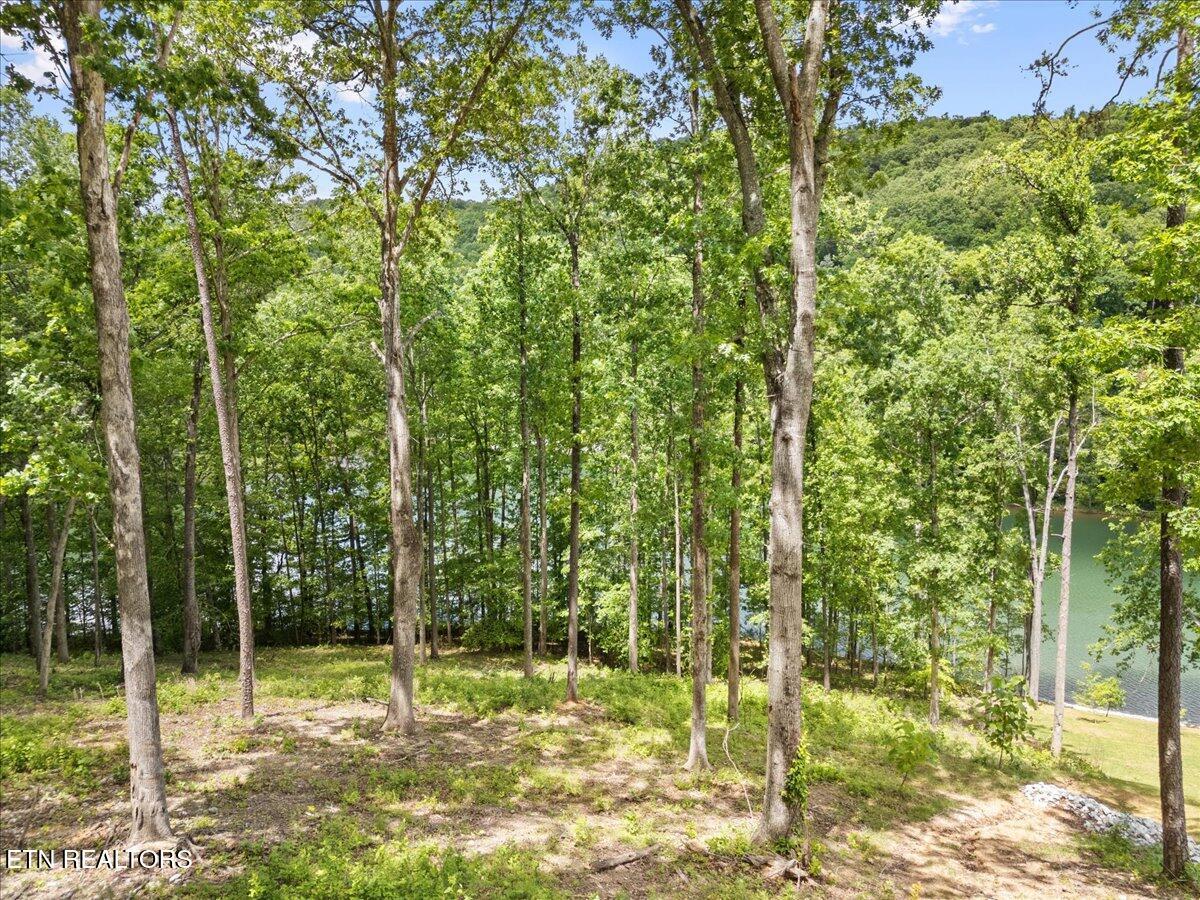 Shanghai Landing Lane, Lafollette, TN - Norris Lake Real Estate - Image# 18