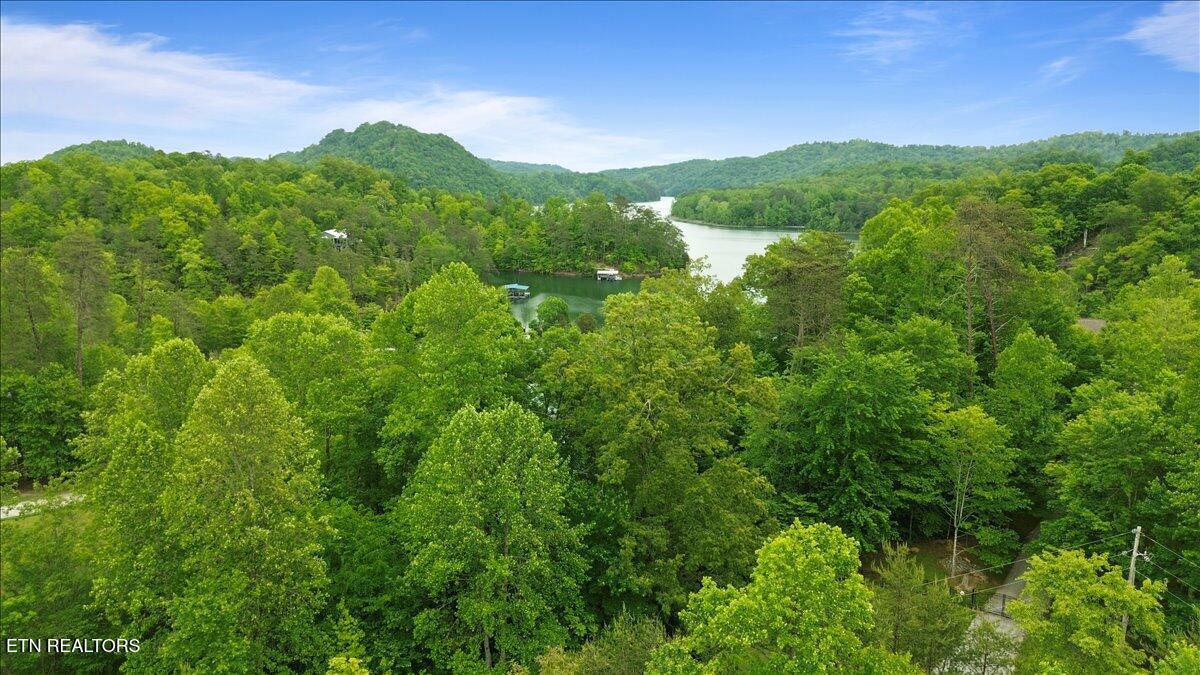 Lot 17 Mountain Shores Rd, New Tazewell, TN - Norris Lake Real Estate - Image# 15