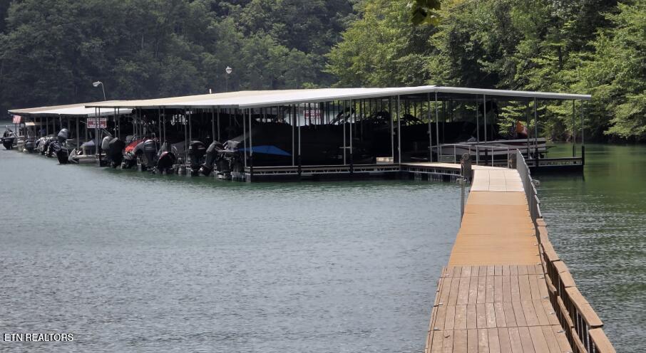 Norris Lake Real Estate - Image# 42