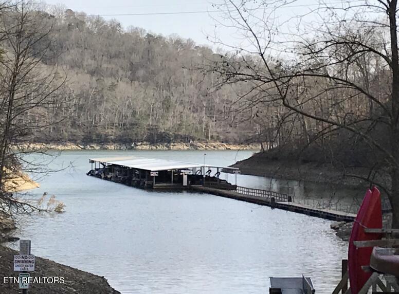 Norris Lake Real Estate - Image# 43