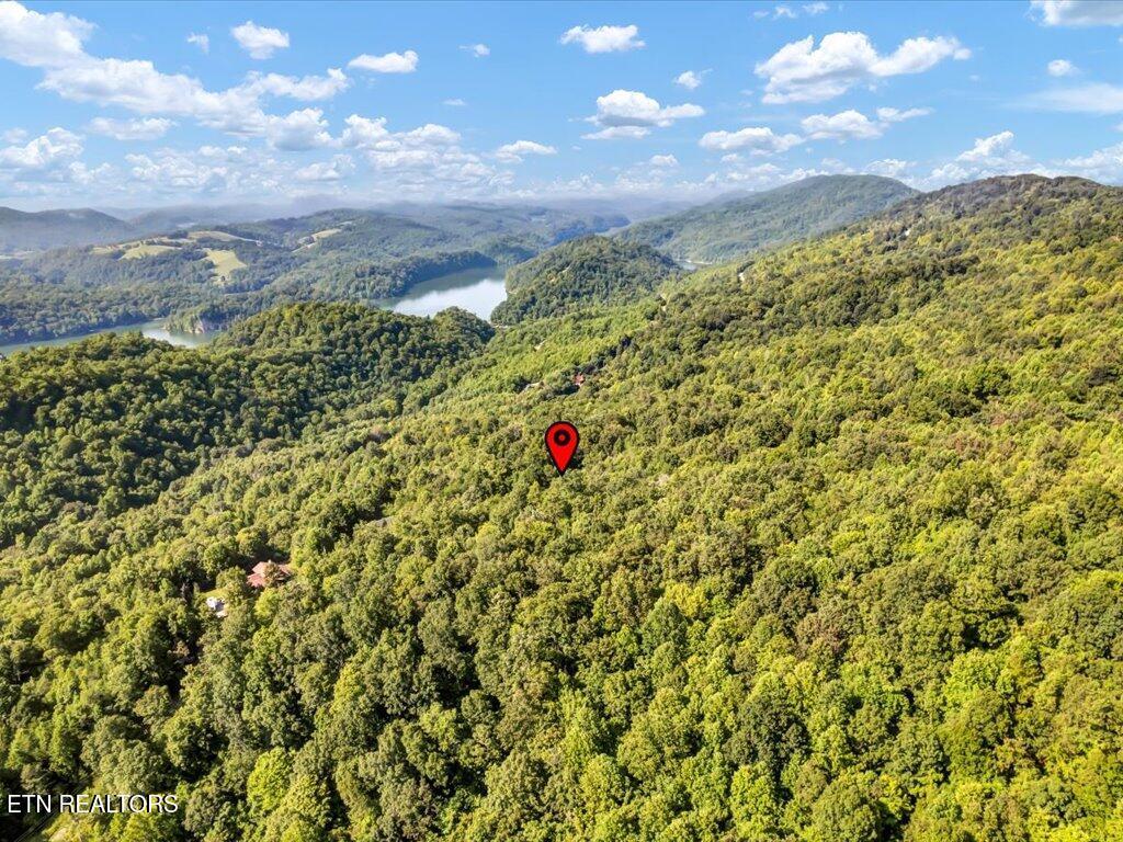 Norris Lake Real Estate - Image# 3