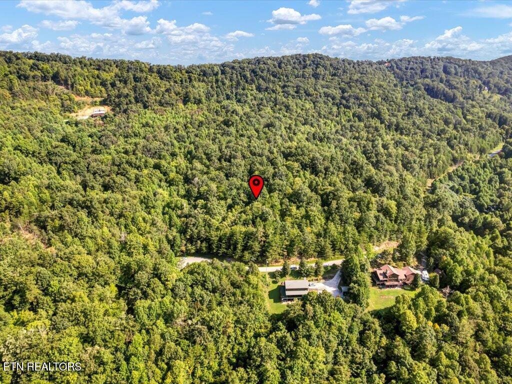 Norris Lake Real Estate - Image# 7