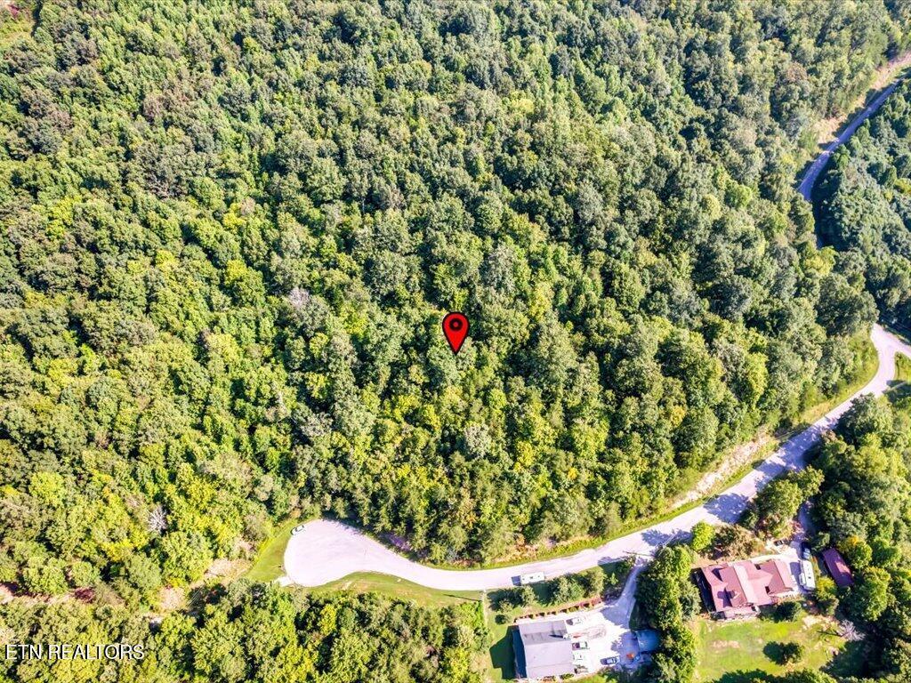 Norris Lake Real Estate - Image# 14