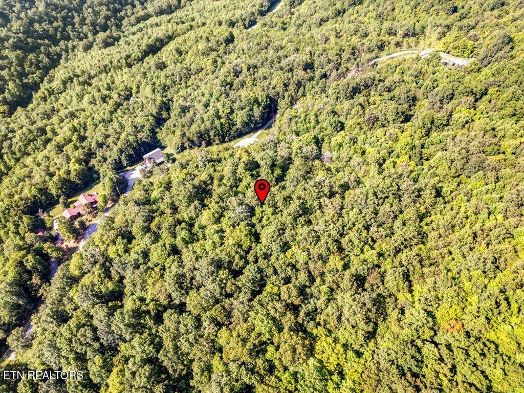 Norris Lake Real Estate - Image# 17