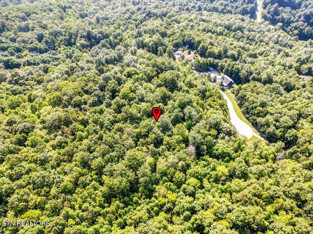 Norris Lake Real Estate - Image# 19