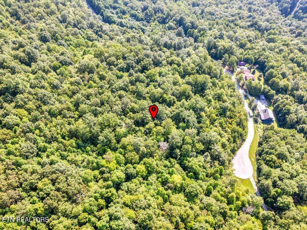 Norris Lake Real Estate - Image# 20