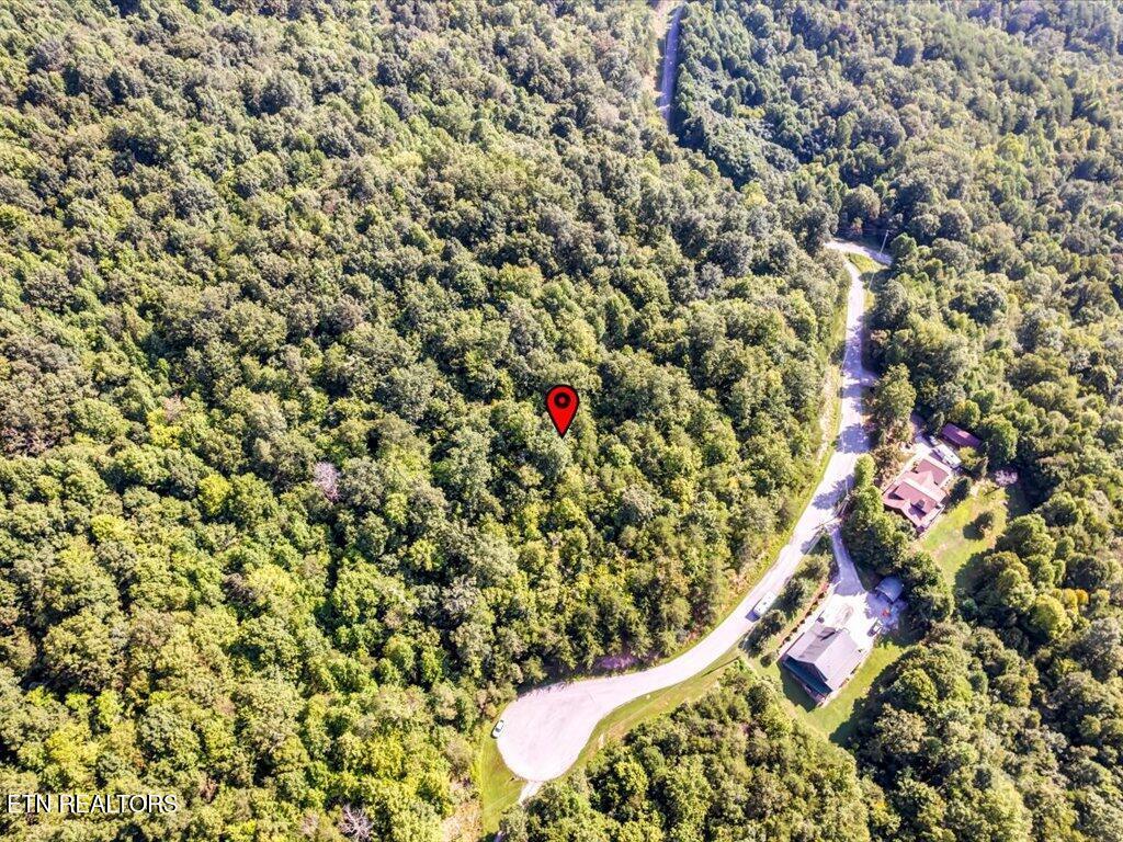 Norris Lake Real Estate - Image# 21