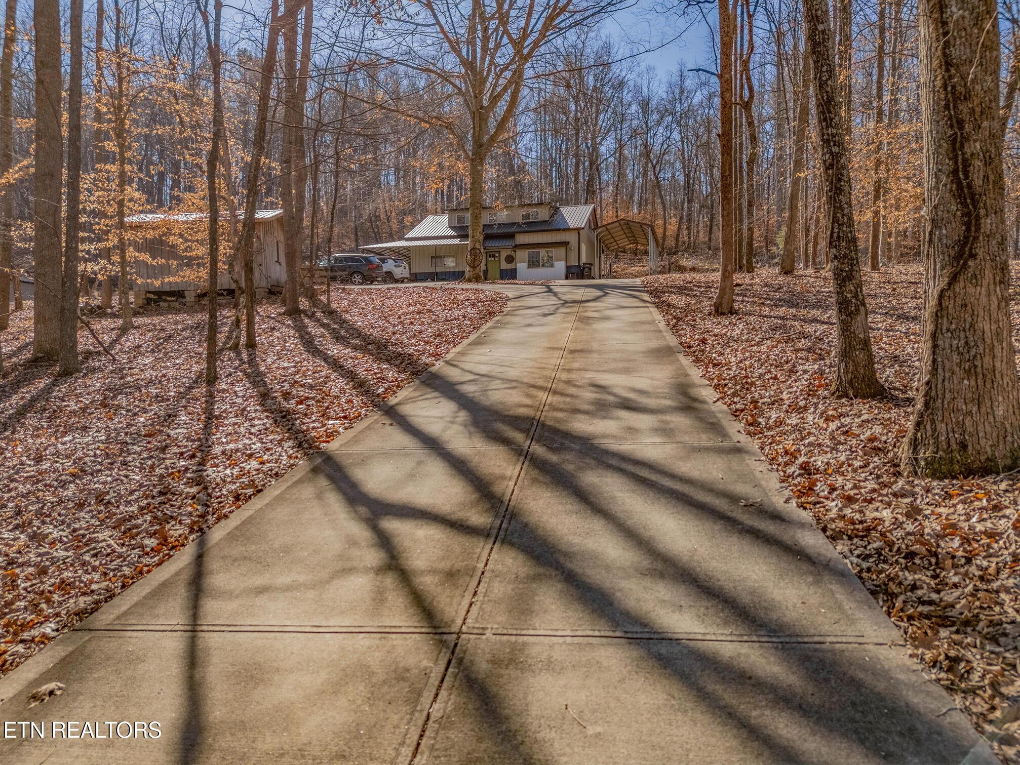 Norris Lake Real Estate - Image# 36