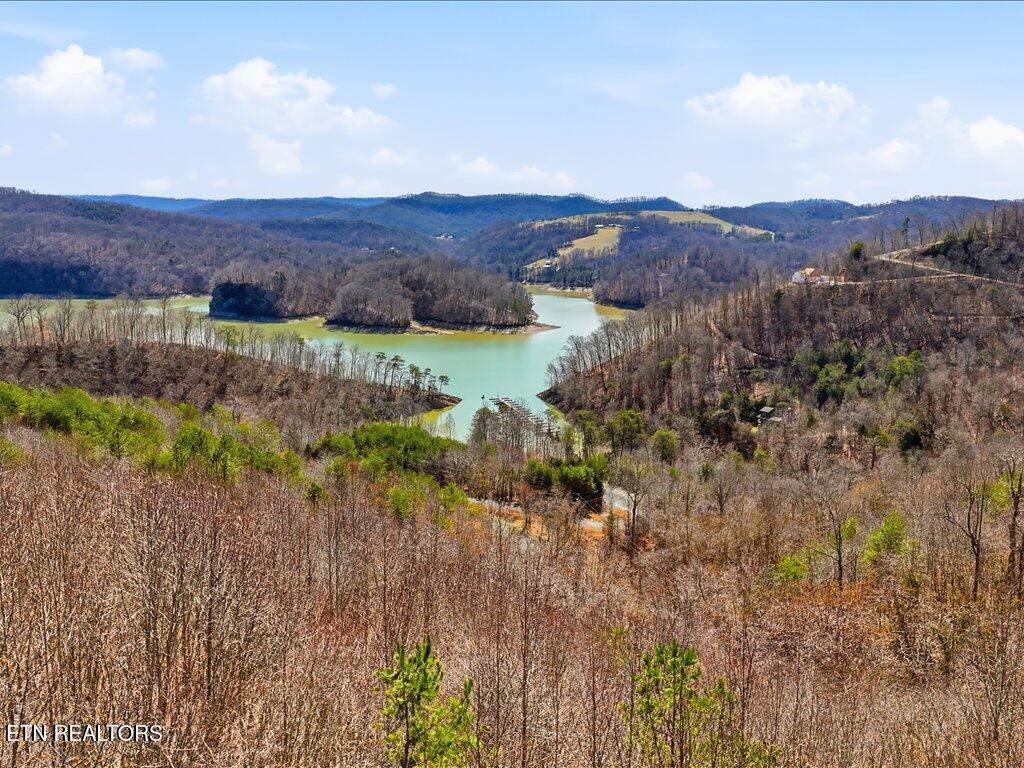 Lot 717 Whistle Valley Rd, New Tazewell, TN - Norris Lake Real Estate - Image# 5
