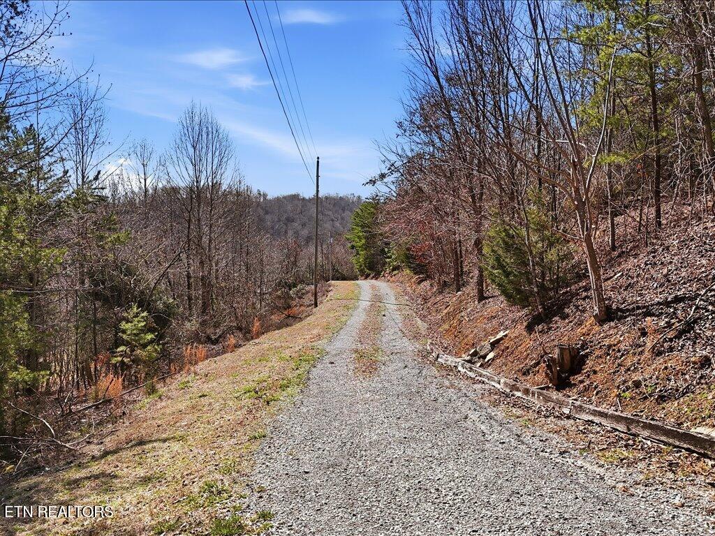 Lot 717 Whistle Valley Rd, New Tazewell, TN - Norris Lake Real Estate - Image# 9