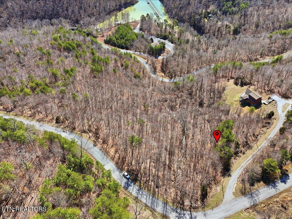 Lot 717 Whistle Valley Rd, New Tazewell, TN - Norris Lake Real Estate - Image# 16