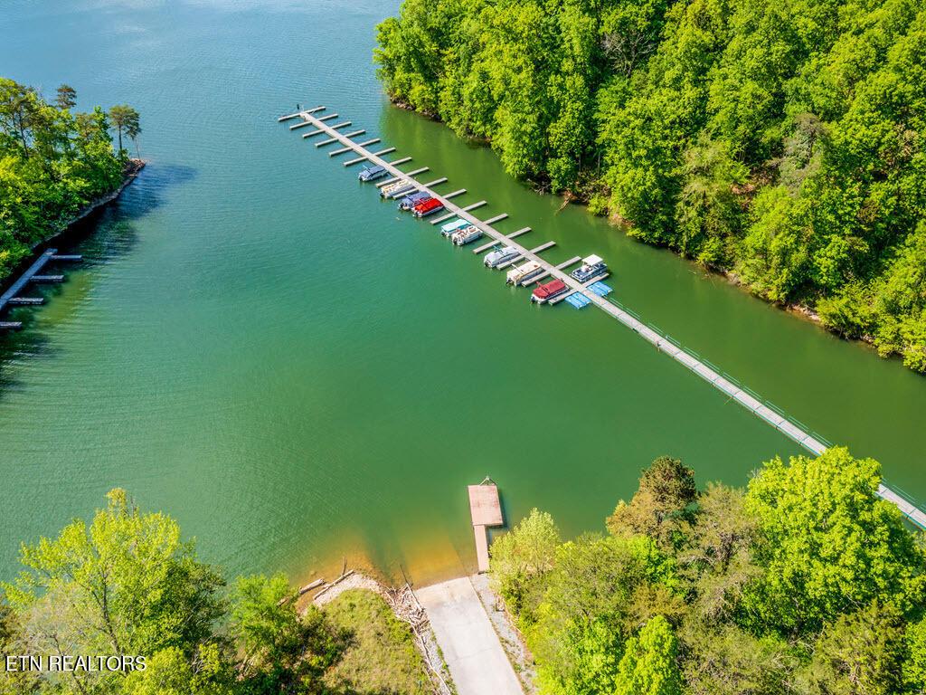 Lot 717 Whistle Valley Rd, New Tazewell, TN - Norris Lake Real Estate - Image# 26