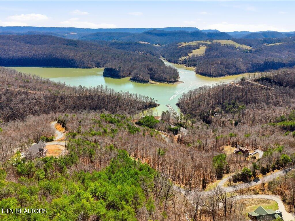 Lot 717 Whistle Valley Rd, New Tazewell, TN - Norris Lake Real Estate - Image# 36
