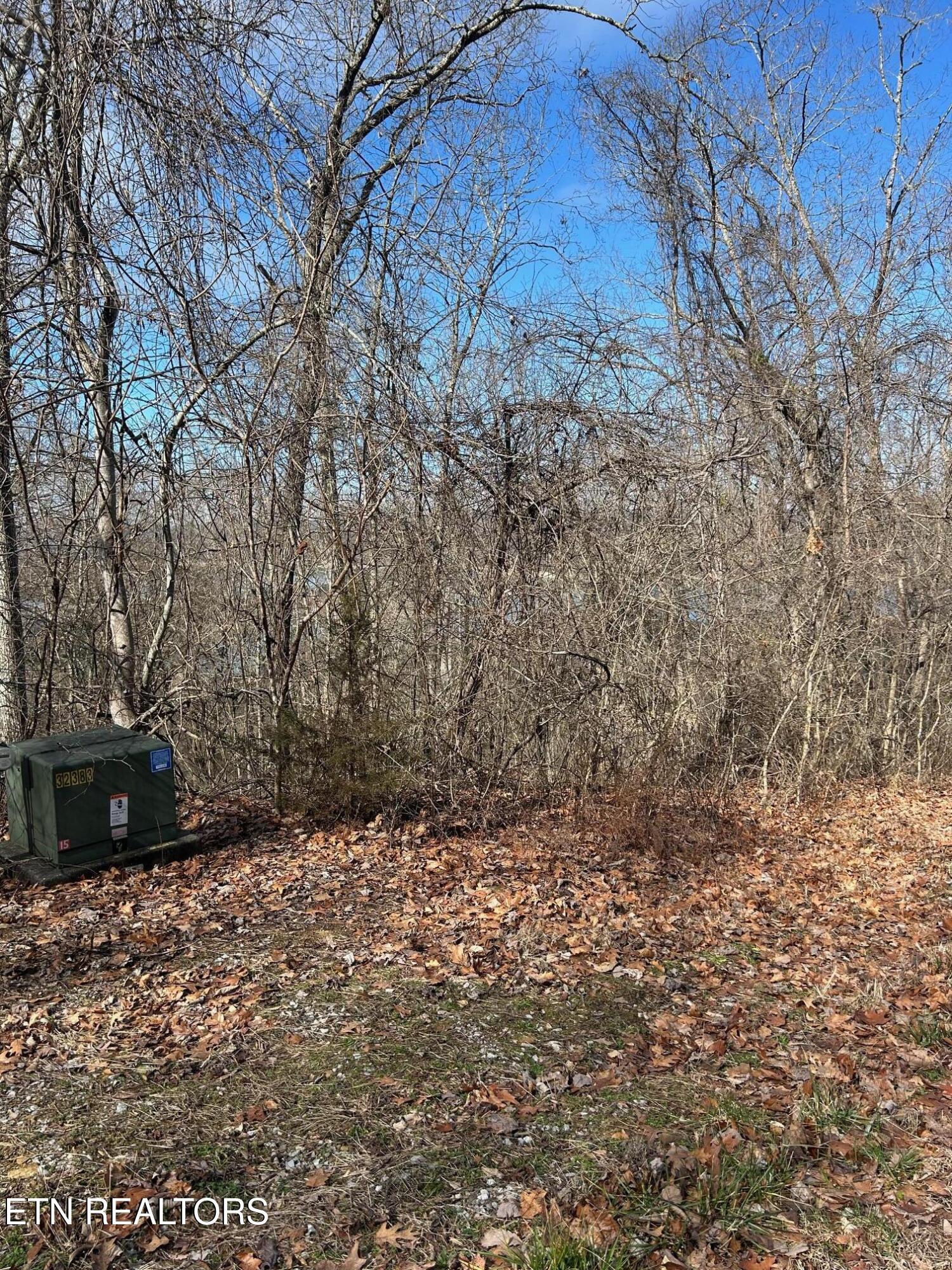 Norris Lake Real Estate - Image# 6