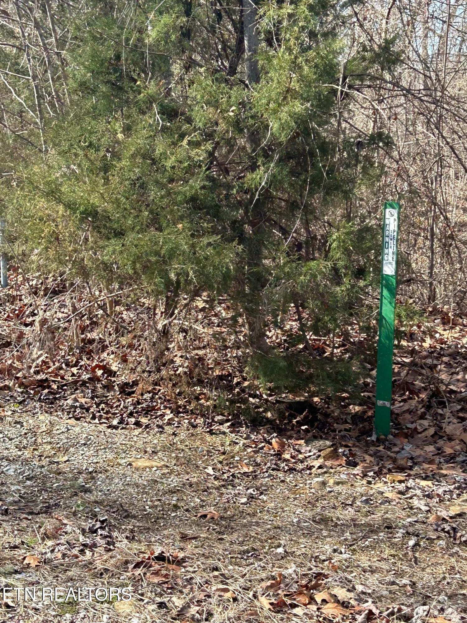 Norris Lake Real Estate - Image# 8