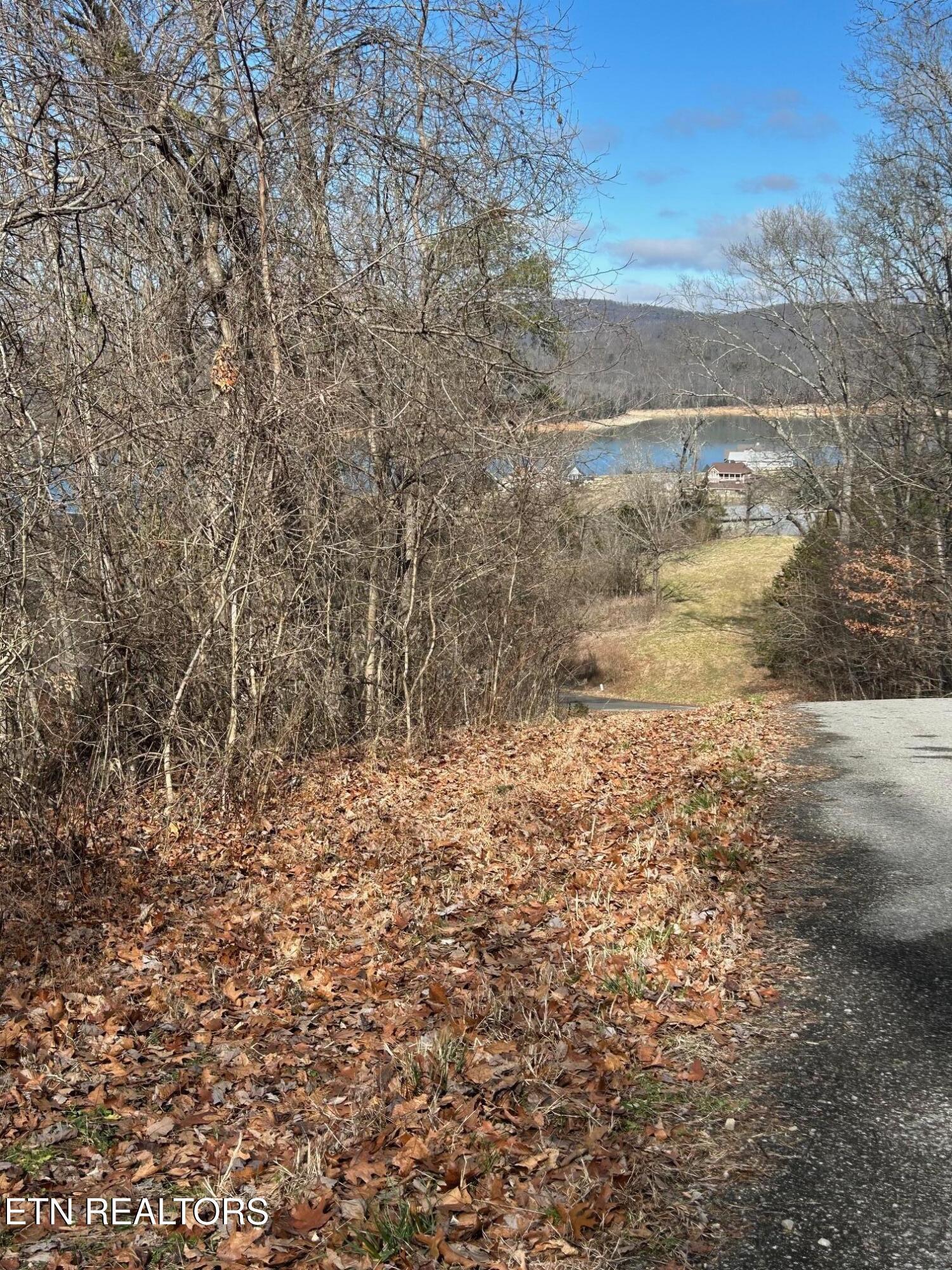 Norris Lake Real Estate - Image# 4