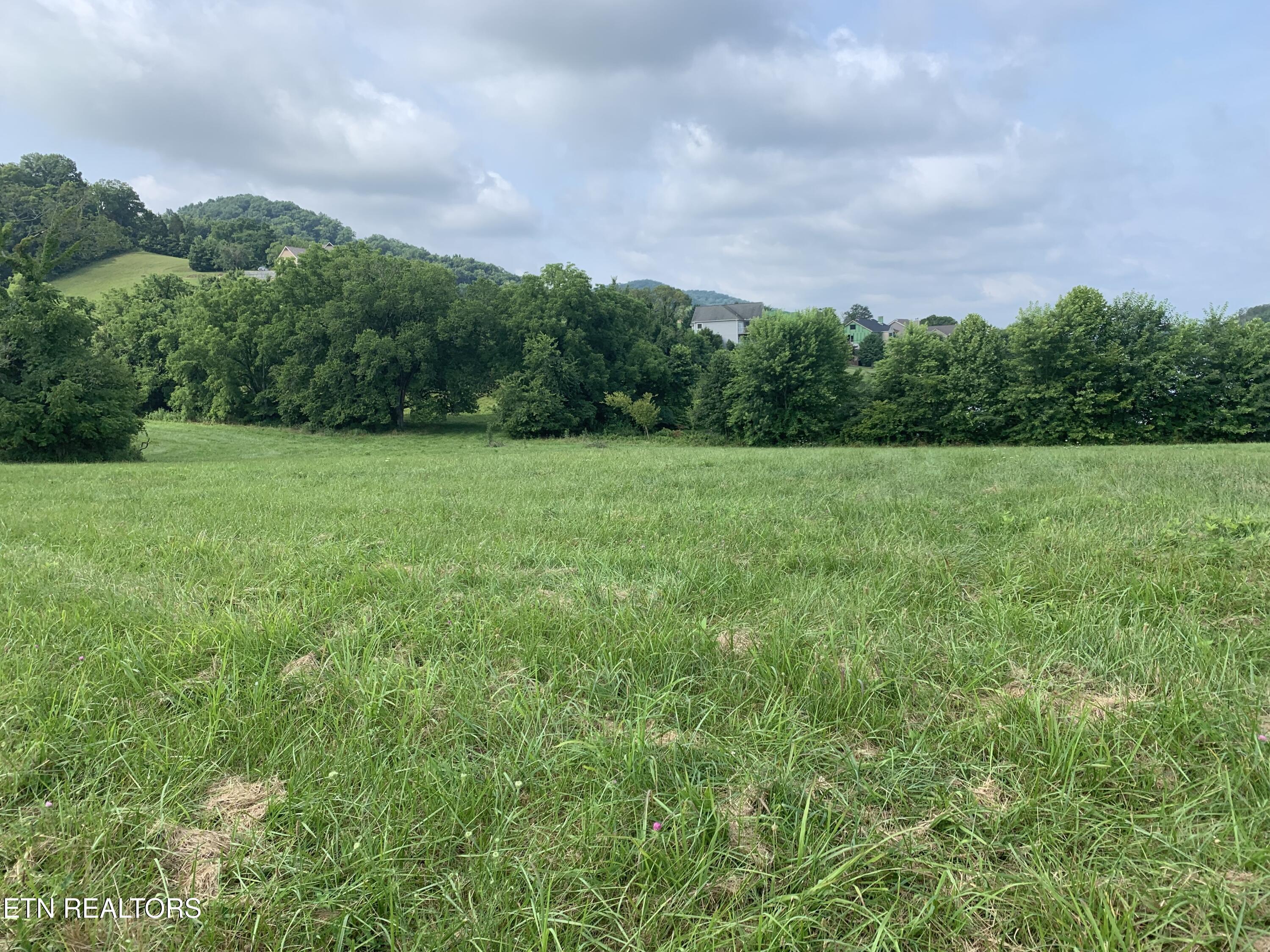 Lawrence, Sharps Chapel, TN - Norris Lake Real Estate - Image# 19