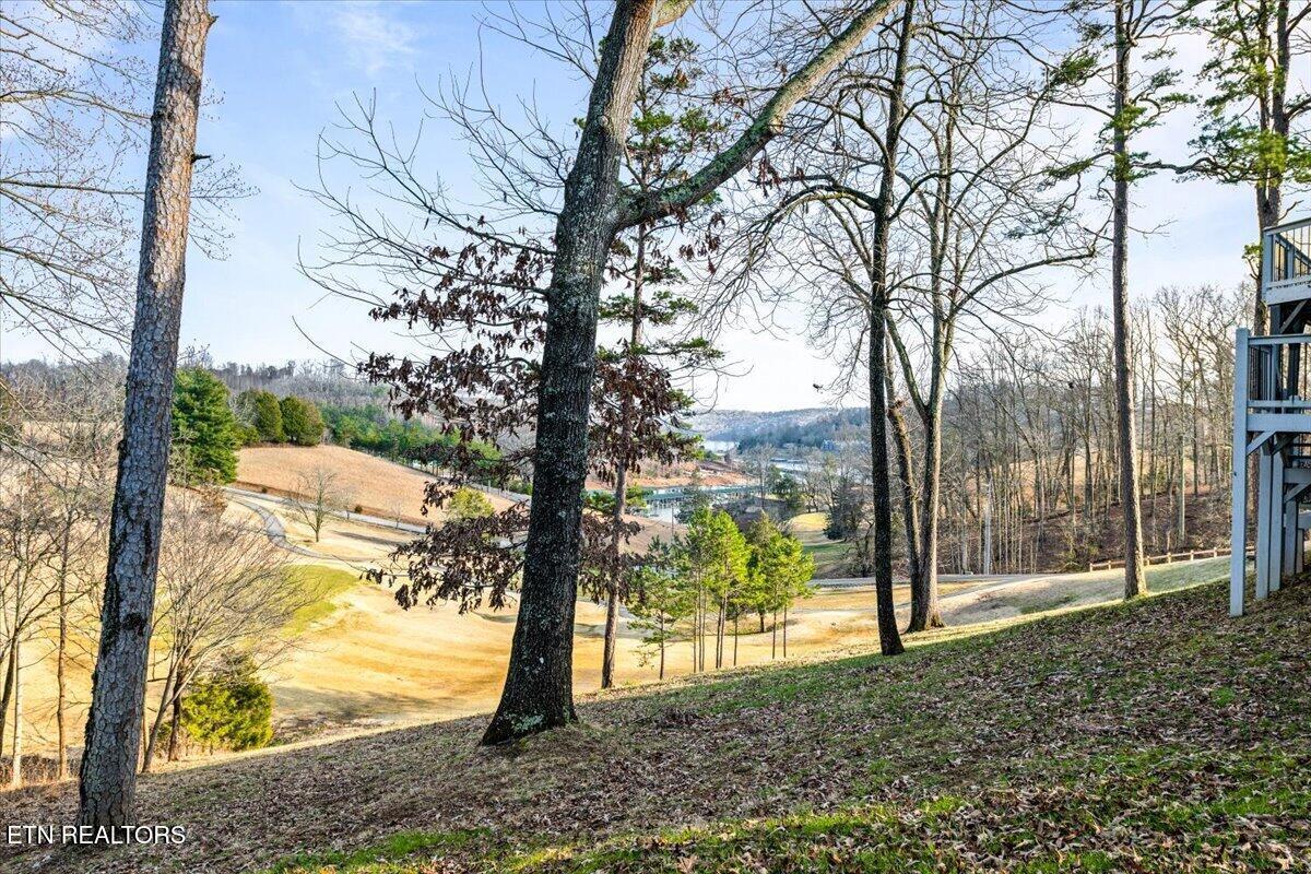602 Wedgewood Lane, Lafollette, TN - Norris Lake Real Estate - Image# 47