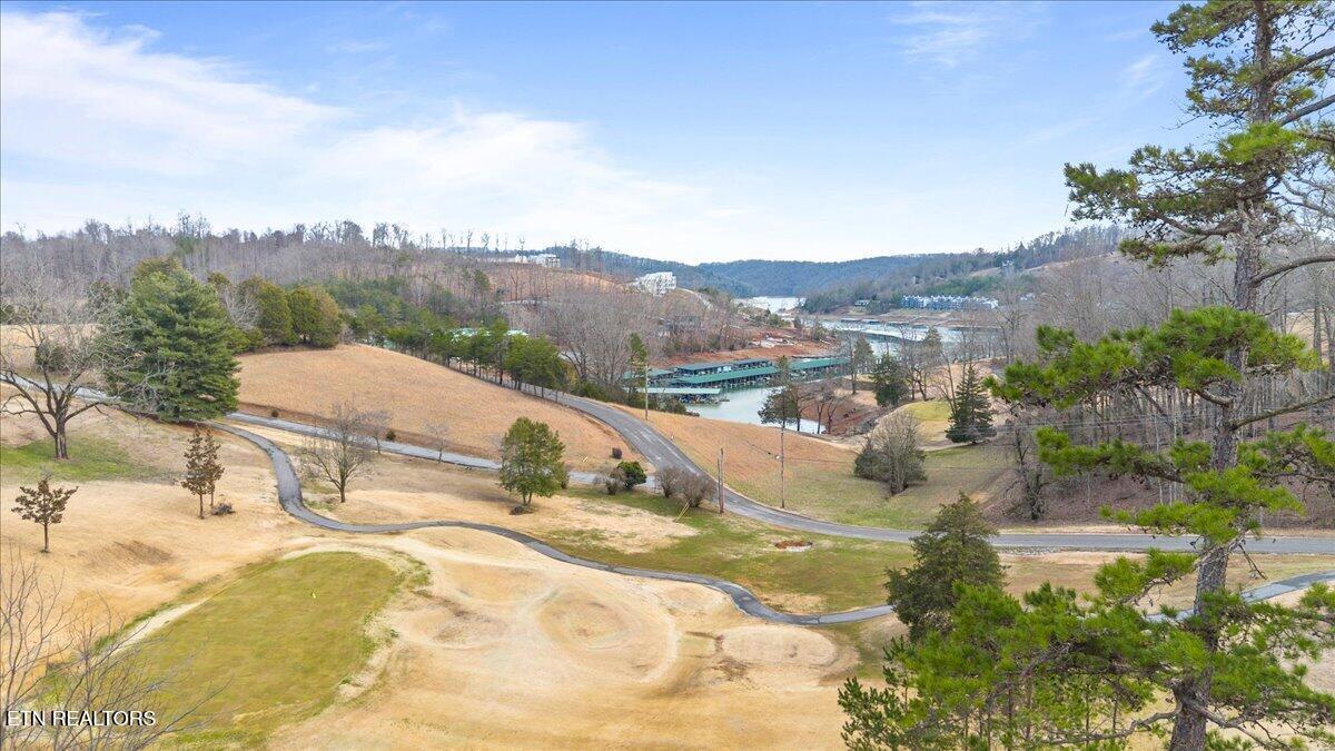 602 Wedgewood Lane, Lafollette, TN - Norris Lake Real Estate - Image# 50