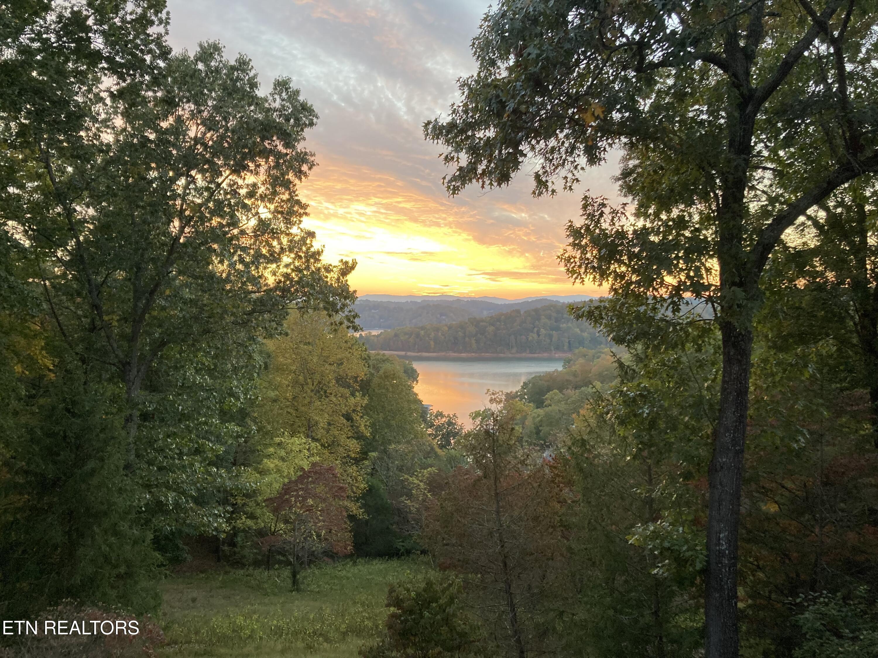 1186 Deerfield Way, Lafollette, TN - Norris Lake Real Estate - Image# 8