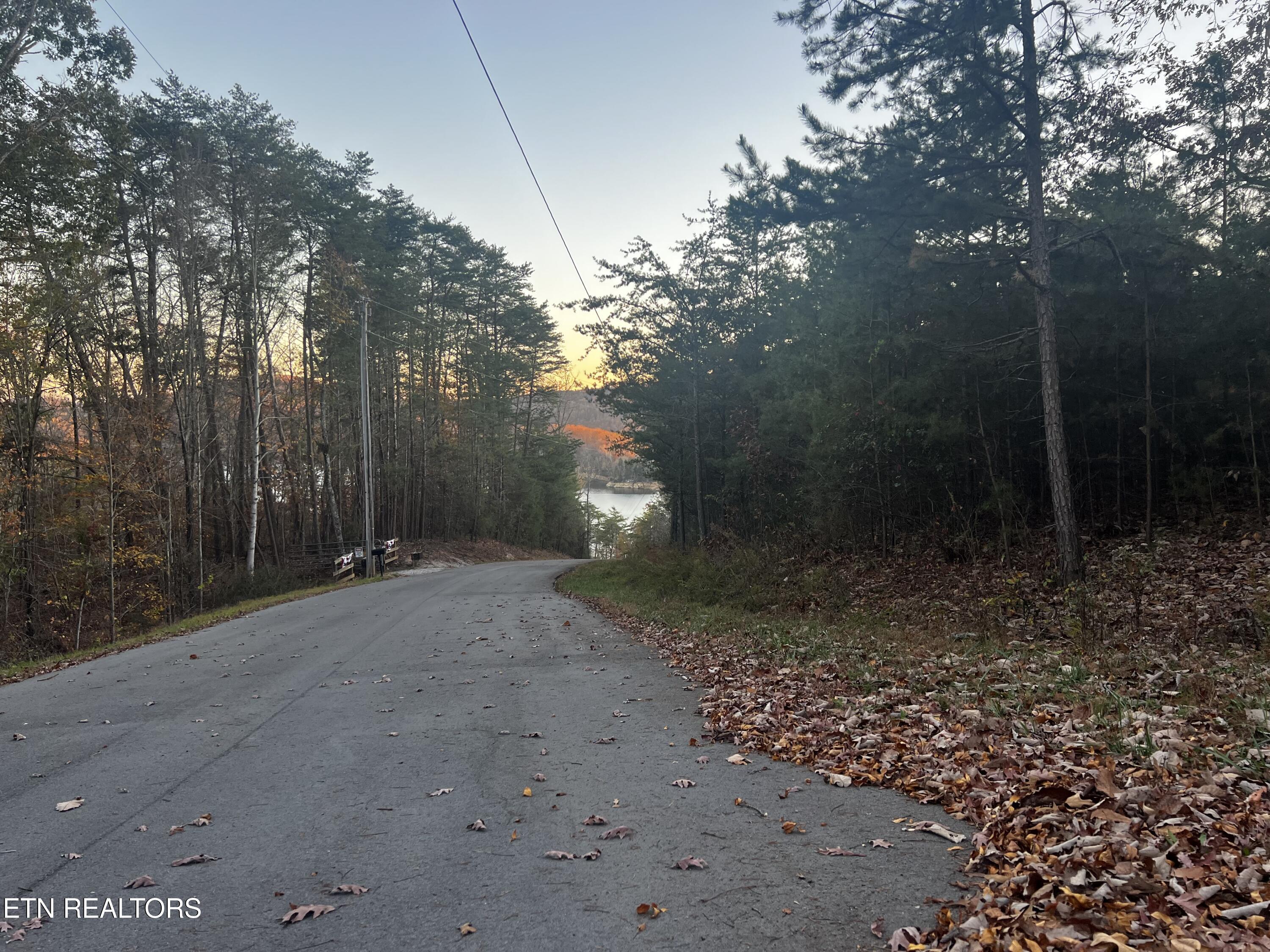 Norris Lake Real Estate - Image# 21