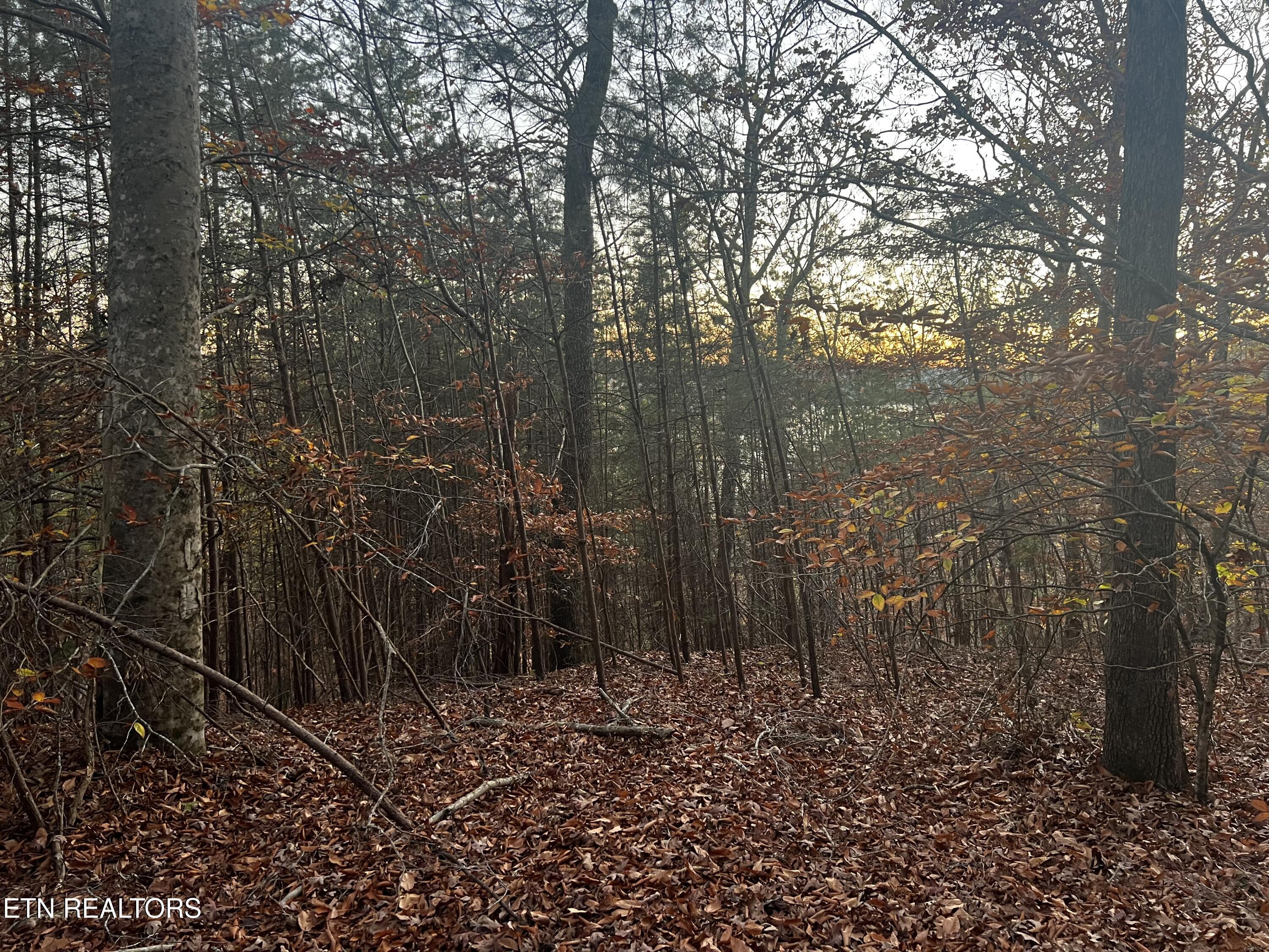 Norris Lake Real Estate - Image# 26