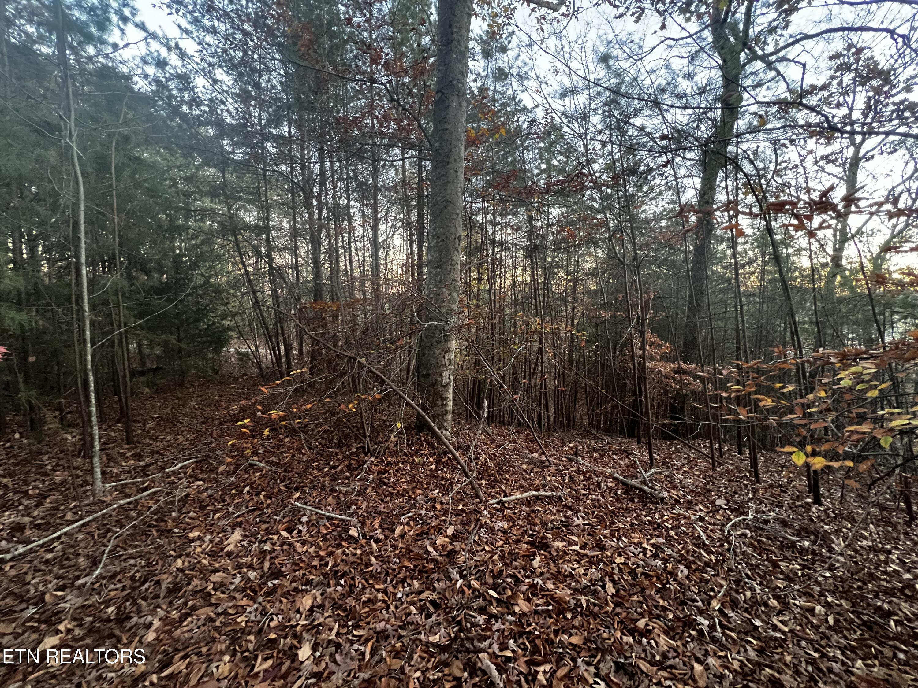 Norris Lake Real Estate - Image# 27