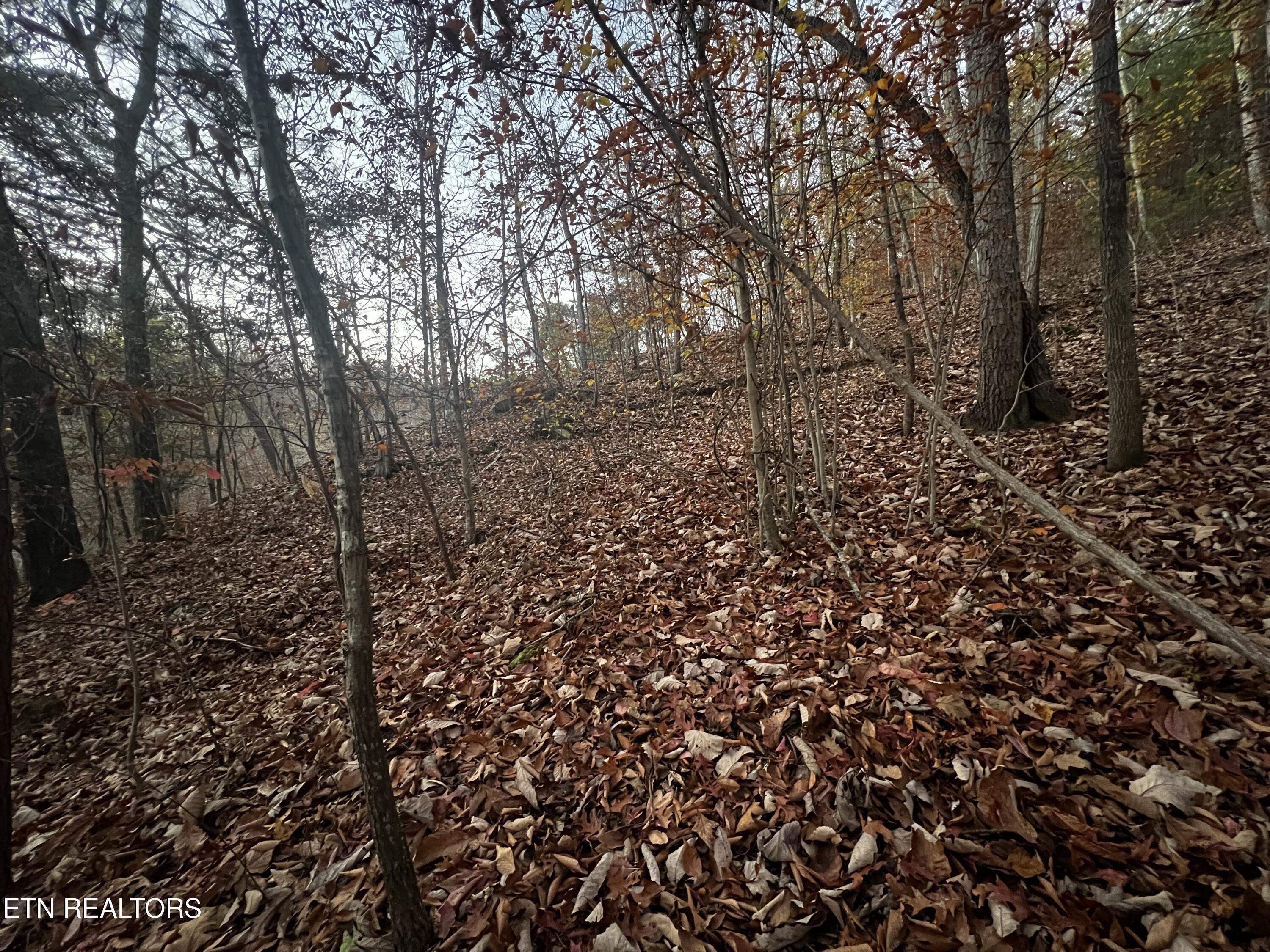 Norris Lake Real Estate - Image# 33