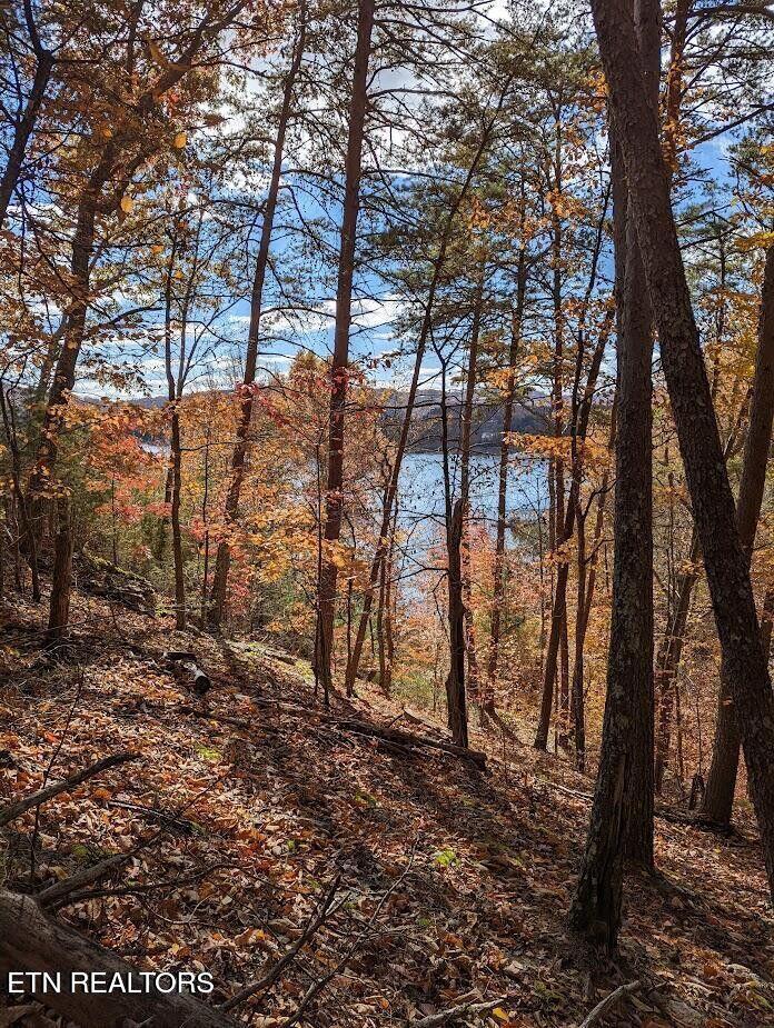 Norris Lake Real Estate - Image# 4
