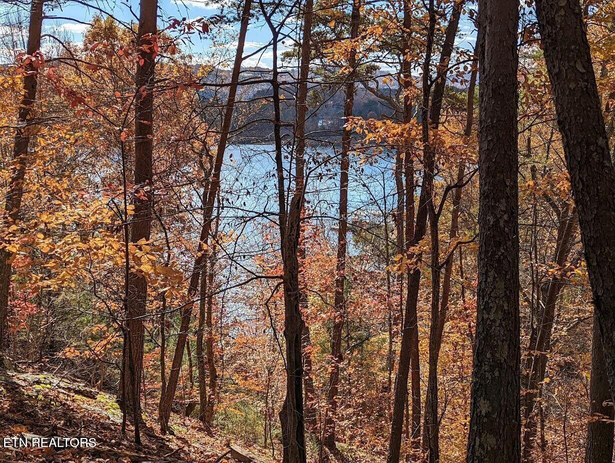 Norris Lake Real Estate - Image# 3