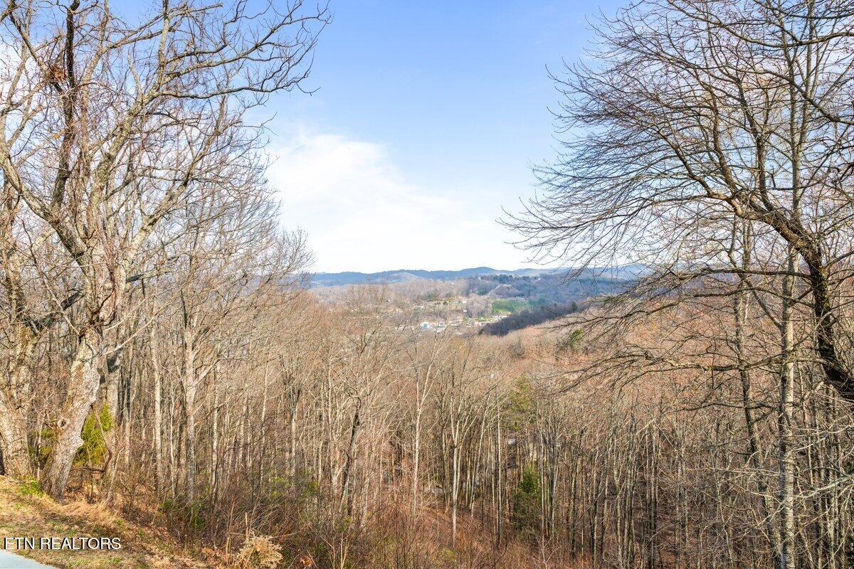 Norris Lake Real Estate - Image# 20