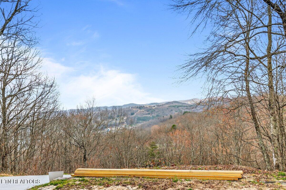 Norris Lake Real Estate - Image# 44