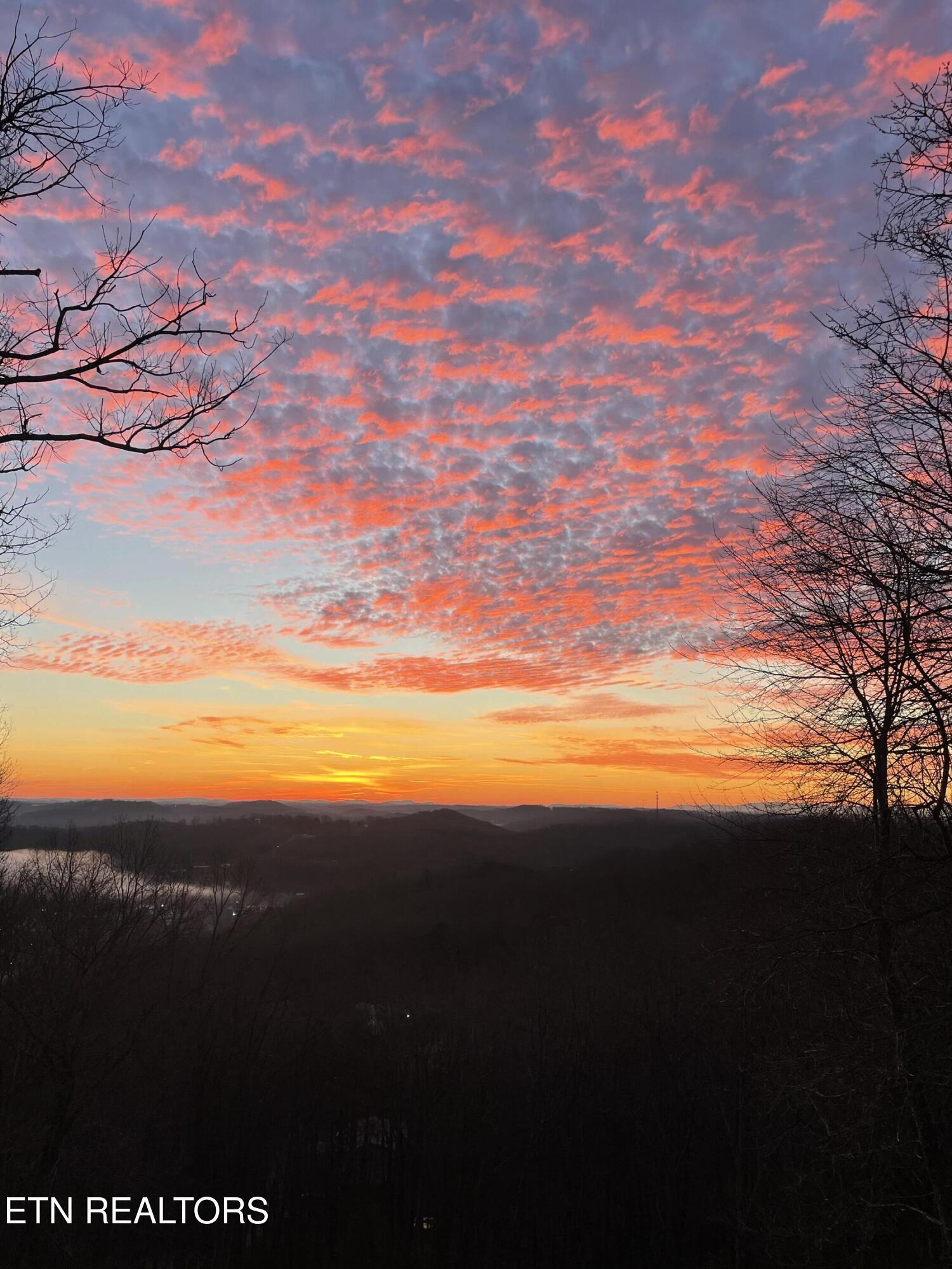 Norris Lake Real Estate - Image# 4