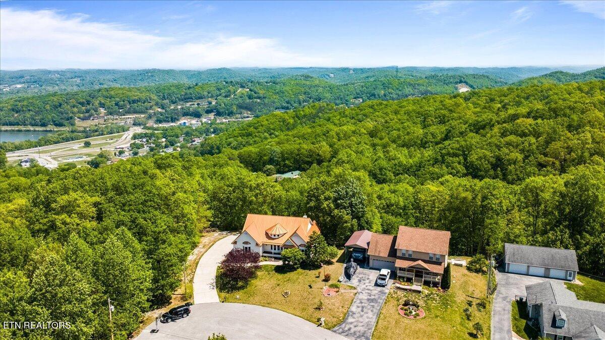 286 Bobcat Tr, Caryville, TN - Norris Lake Real Estate - Image# 47