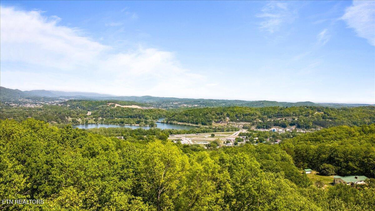 286 Bobcat Tr, Caryville, TN - Norris Lake Real Estate - Image# 53
